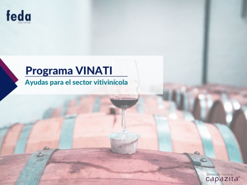 AYUDAS EN INVERSIONES DEL SECTOR VITIVINICOLA. VINATI. 1 diciembre 2020