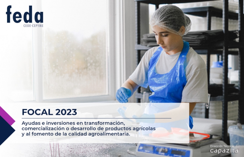 Ayudas a inversiones en transformación, comercialización o desarrollo de productos agrícolas y al fomento de la calidad agroalimentaria FOCAL 2023