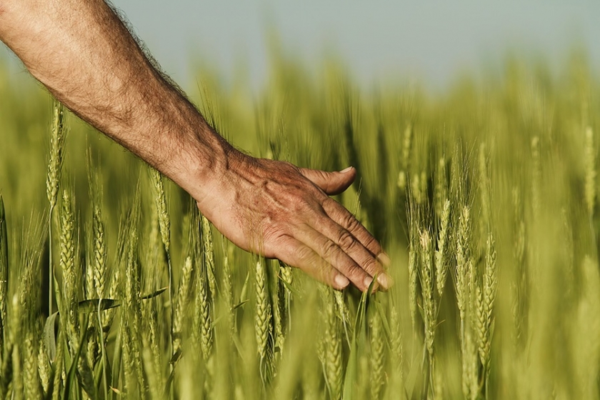 REDUCCIÓN DEL ÍNDICE DE RENDIMIENTO NETO DE ACTIVIDADES AGRÍCOLAS Y GANADERAS PARA EL PERÍODO IMPOSITIVO 2018