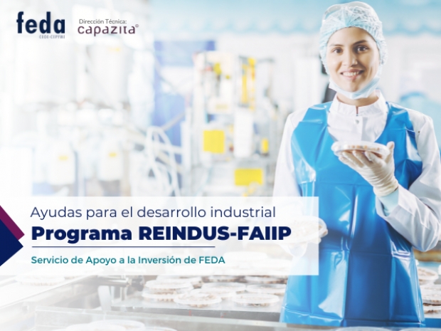 Fotografía de PROGRAMA REINDUS-FAIIP, ofrecida por FEDA