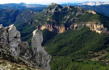 Fotografía de Sierra del Segura - Premios Empresariales San Juan 2018, ofrecida por FEDA