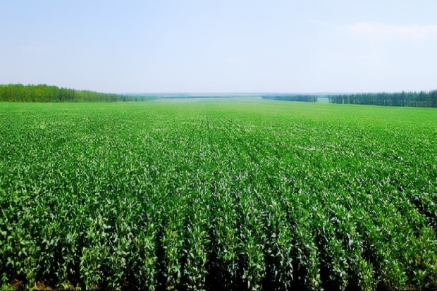 Fotografía de Reducción del índice de rendimiento neto de actividades agrícolas y ganaderas para el período impositivo 2017, ofrecida por FEDA