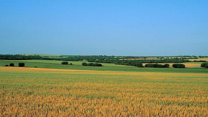 MEDIDAS URGENTES DE APOYO AL SECTOR AGRARIO POR CAUSA DE LA SEQUÍA (ámbito laboral), publicadas en el BOE